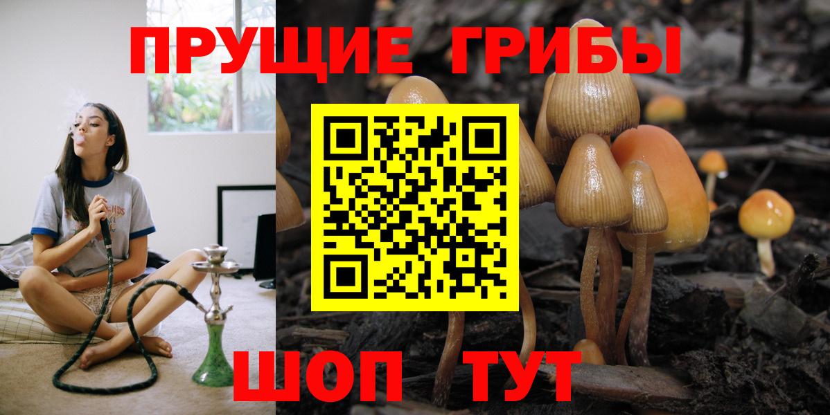 наркота  Псилоцибиновые грибы GOLDEN TEACHER  Добрянка  Вход с VPN  Галлюциногенные грибы ЛСД 